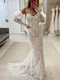 Mermaid Long Sleeves Lace Garden Beach Dream Vintage Long Wedding Dresses WD550